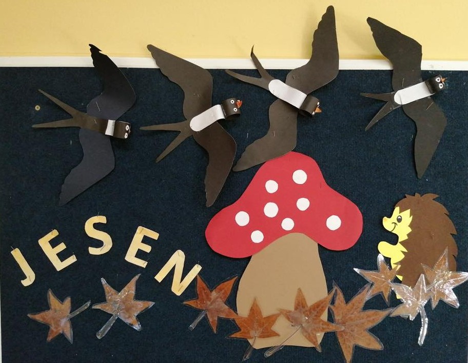 2526_objava_011_jesen